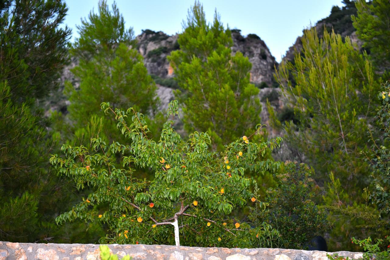 Bay View Guesthouses Kalamata Exterior photo